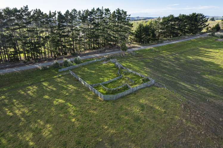 Parahi Road Ruawai_9