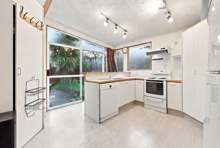 190 Malvern Street Woodhaugh_0