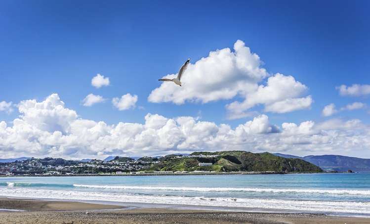 16/76 Freyberg Street Lyall Bay_13