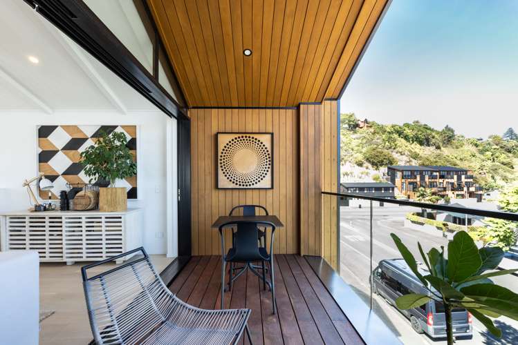 3a Coronation Street Ahuriri_8