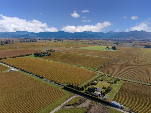 115 110 Oakley Avenue Springlands_3