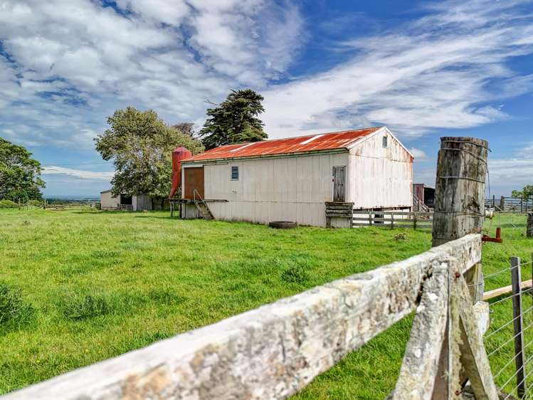 1173 Karahaki Road Waverley_23