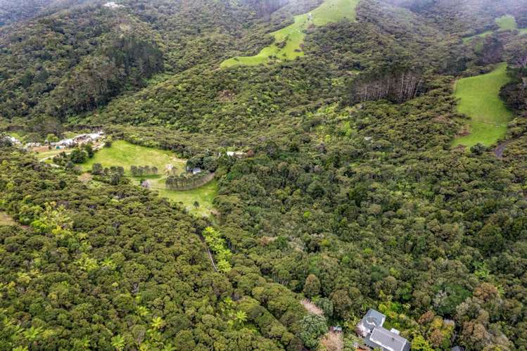 90 Lone Kauri Road Karekare_23