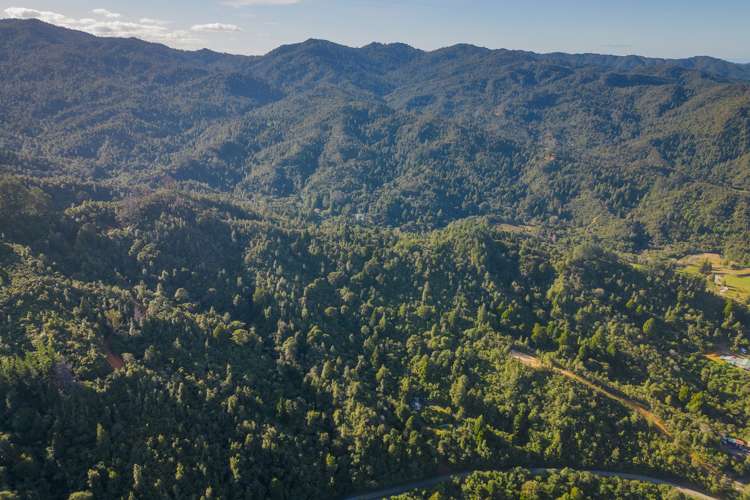 1621 The 309 Road Kaimarama_5