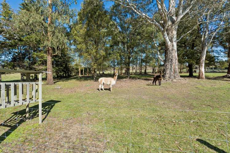 Lot 2/104 Fawcetts Road Ashley_2