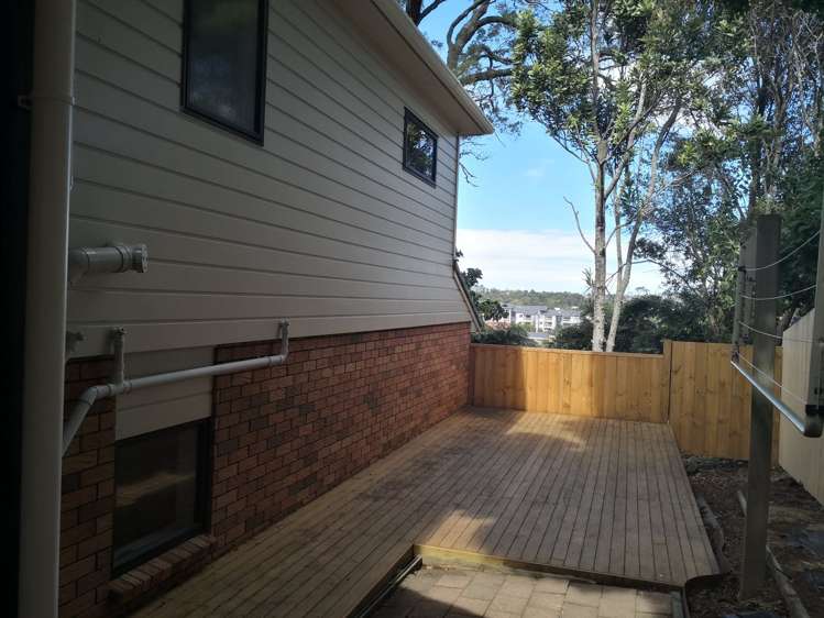 31a Tiverton Road Avondale_24