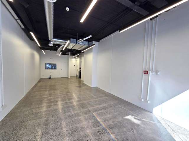 G02/12 Vinegar Lane, Grey Lynn, Auckland Grey Lynn_2