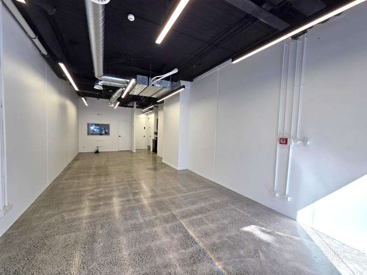 G02/12 Vinegar Lane, Grey Lynn, Auckland Grey Lynn_2