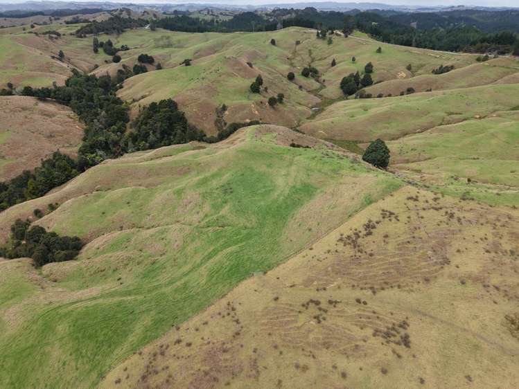 290 Hillcrest Road Waiotira_16