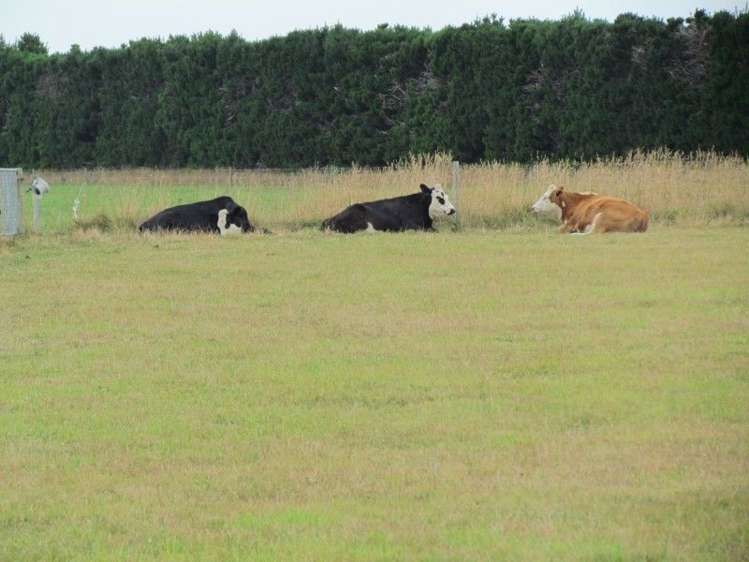 38 Barnswood Road Ruapuna_18