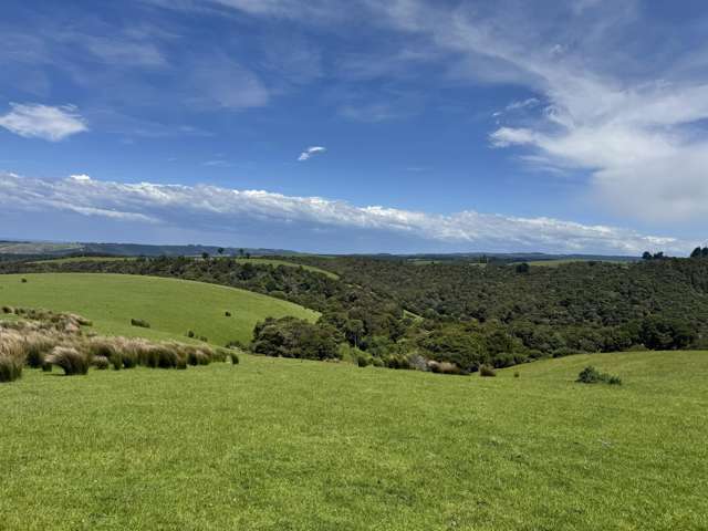 125 Sawmill Road Taieri Beach_4