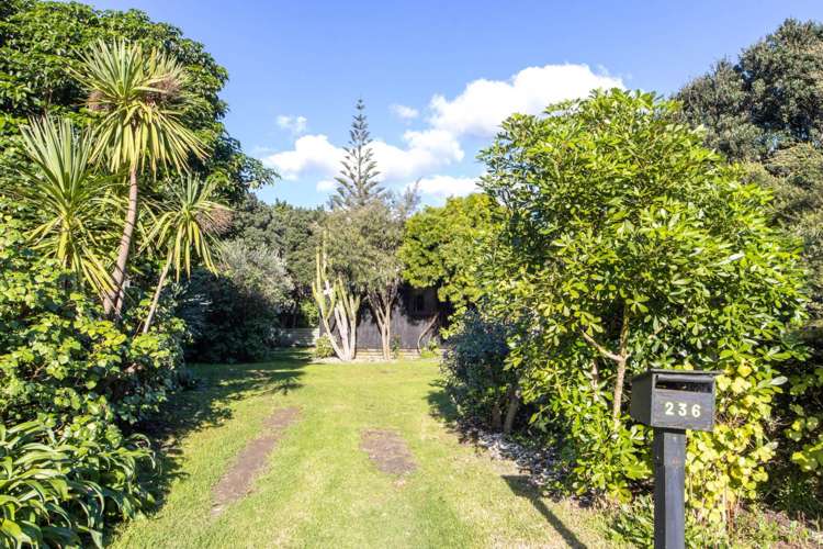 236 Bethells Road Bethells Beach_21