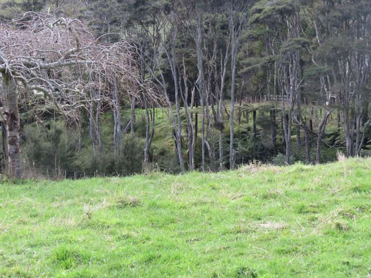 320 Ness Valley Road Ness Valley_16