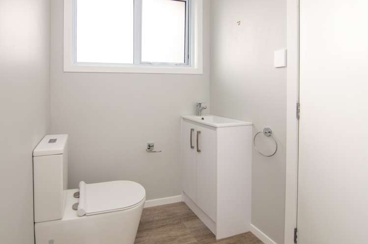 45 Rata Street Roslyn_13