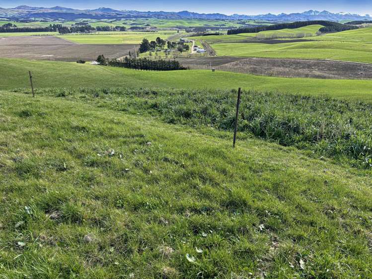 Round Hill Road Five Forks and Surrounds_13