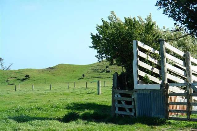 32 Hadfield Street Patea_3