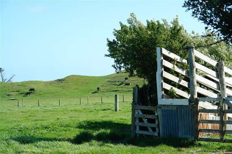 32 Hadfield Street Patea_3