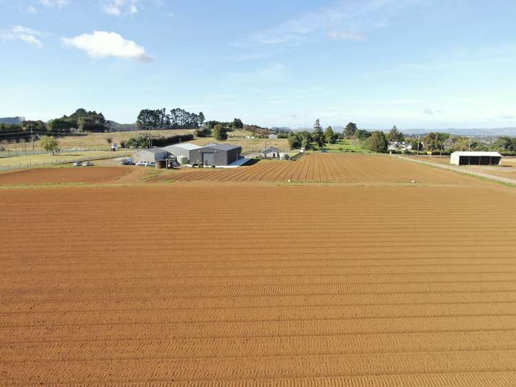 87 Mill Road Pukekohe East_7