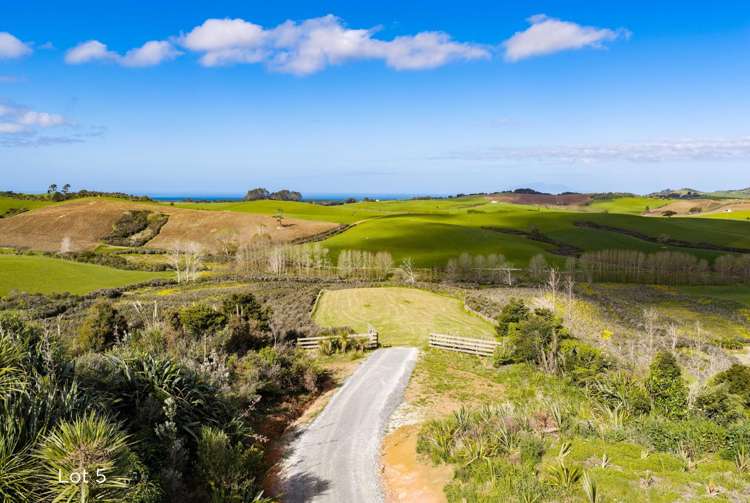 Ocean View Road and Busbridge Road Te Arai_16