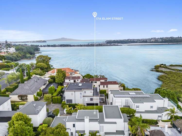 17A Elam Street Parnell_1