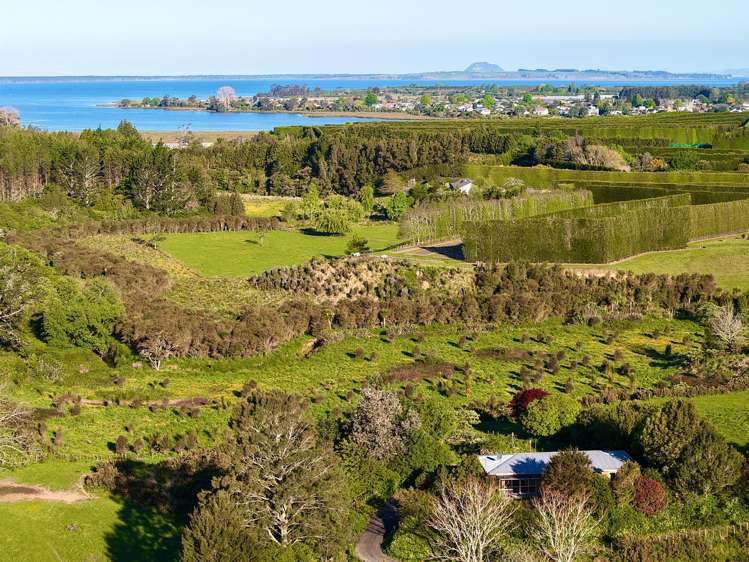 74B Willoughby Road Katikati_8