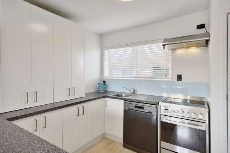 80 Lowry Avenue Redwood_5