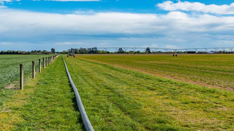 Selwyn Lake Road Leeston_26