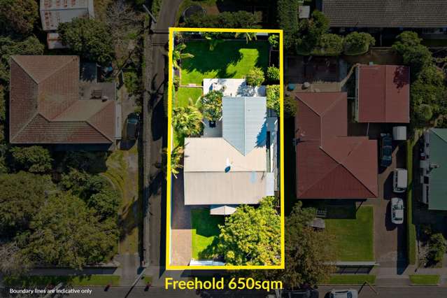 20 Ballarat Street Ellerslie_3