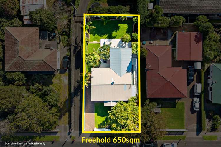 20 Ballarat Street Ellerslie_3