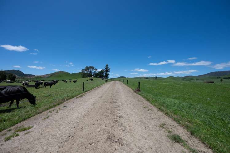 313 Te Wera Road Matawai_15