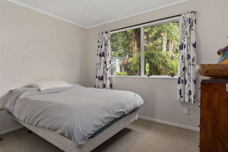 222 Wainui South Road Whakamarama_12