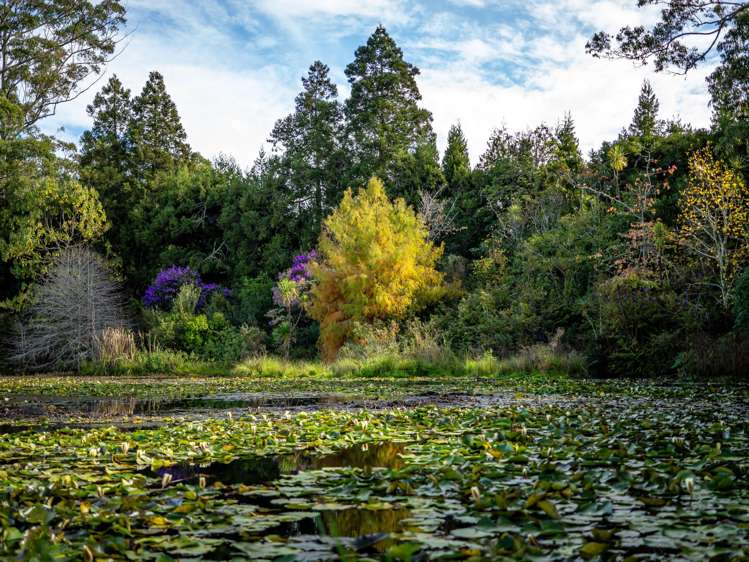 75 Riddell Road Kerikeri_22