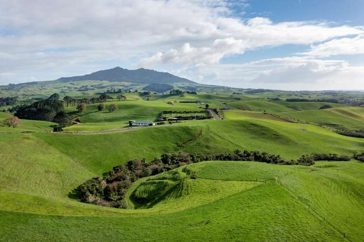 119 Te Papatapu Road Raglan_9