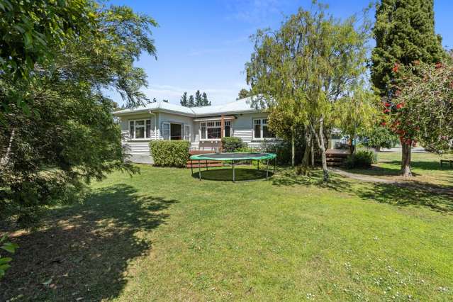 189 Leithfield Road Leithfield_4