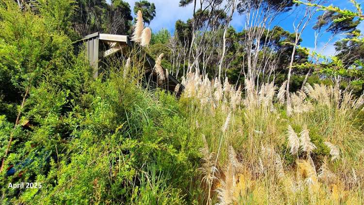 165 Bon Accord Harbour Kawau Island_17