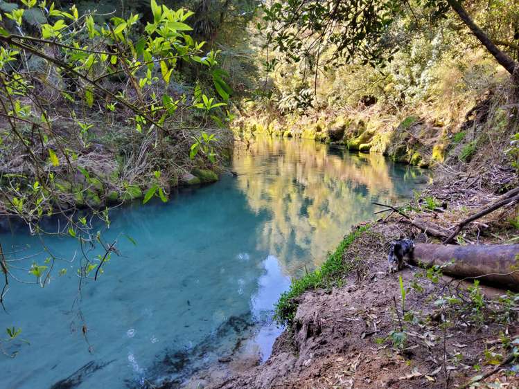 328 Maungarangi Road Paengaroa_16