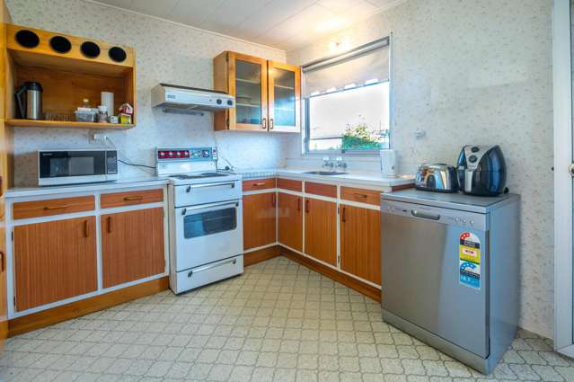 22 Freyberg Avenue Tamatea_1