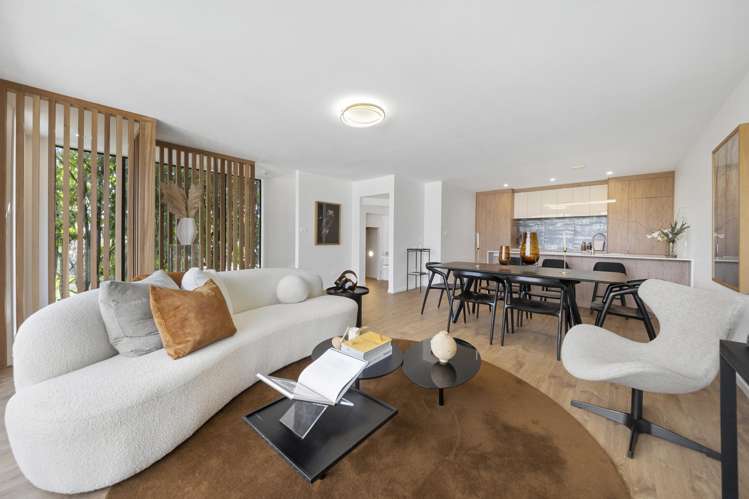 6B Princes Street Pukekohe_1