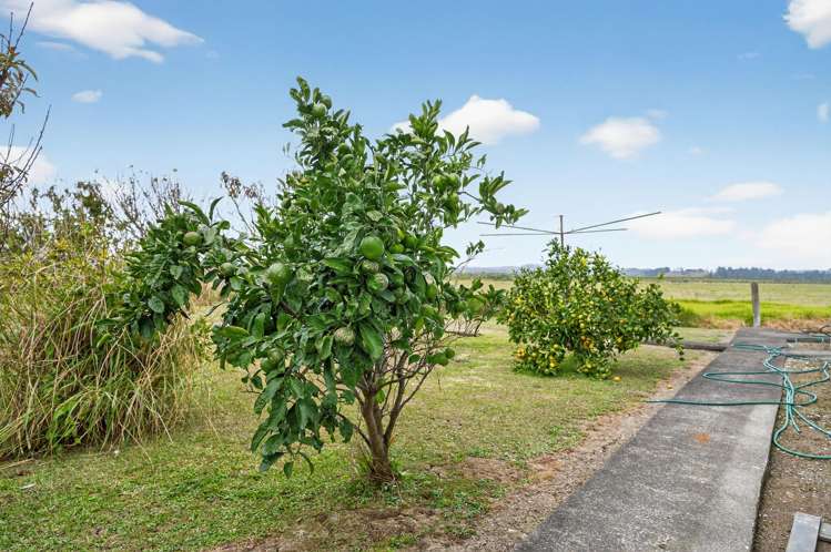 4315 State Highway 12 Ruawai_4