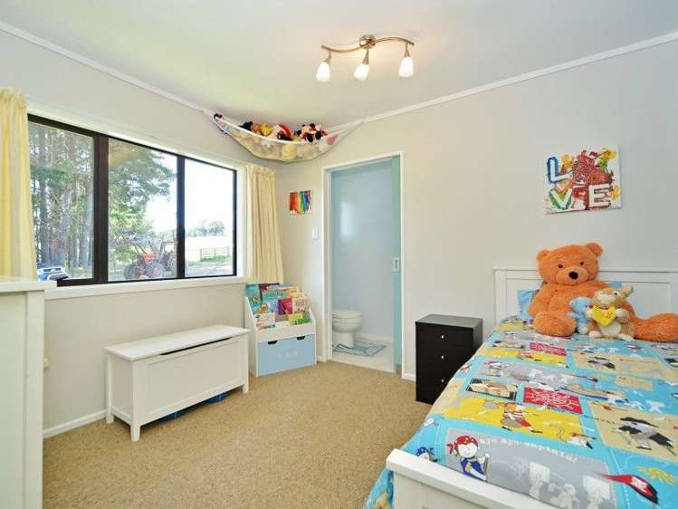 100 Castle Hill Road Eketahuna_13