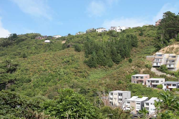 318 Ohiro Road Brooklyn_19