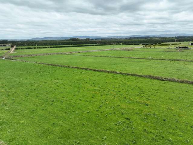 223 Kaitangata Highway Stirling_4