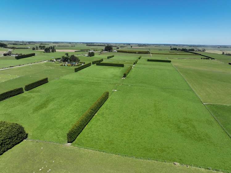 616 Woodlands Road Mokotua_5