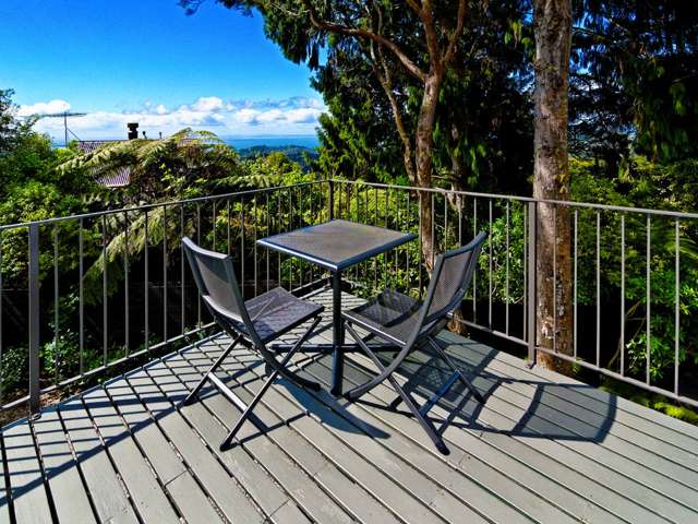 272 Shaw Road Titirangi_4