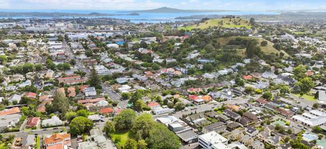 13b Wairakei Street Greenlane_1