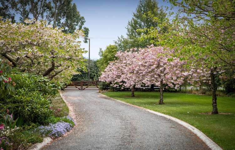 87 Halkett Road West Melton_21