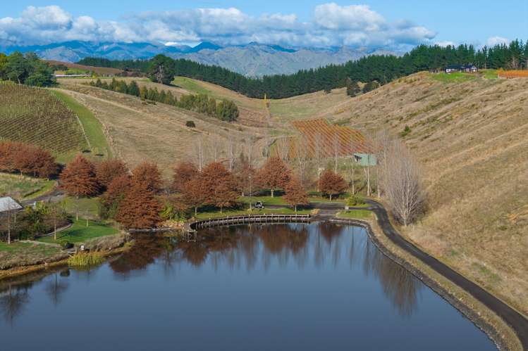 218 Delta Lake Heights Renwick_24