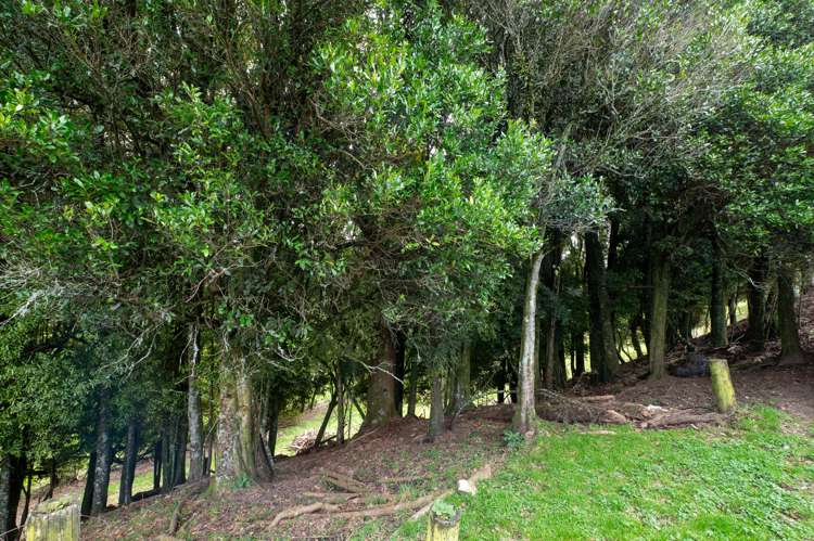 538 Kapukapu Road Hamurana_21