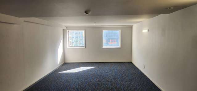 Level 3/5 Tory Street Te Aro_1