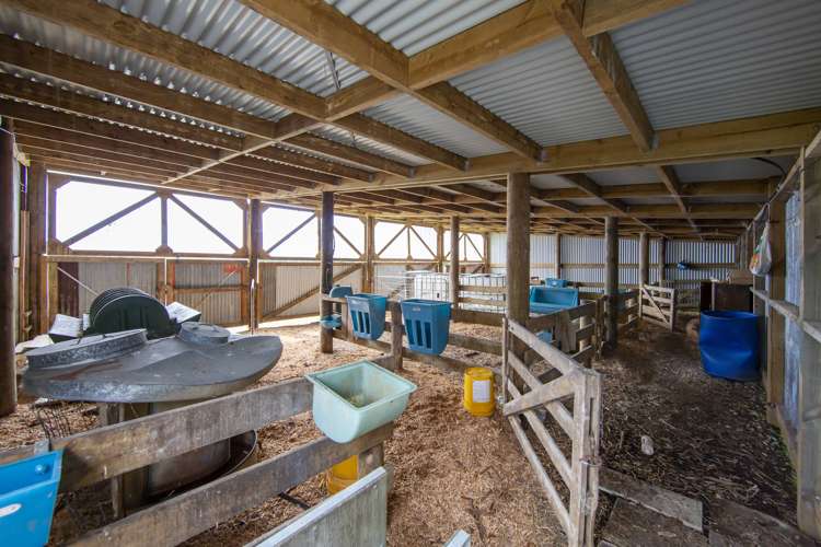 173 Day Road Wellsford_13